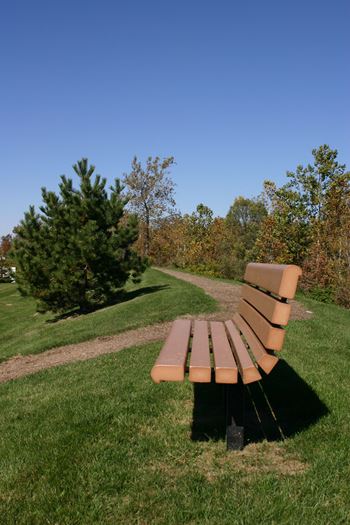 Fitness trail